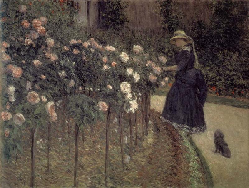 Roses-The Garden in Petit-Gennevilliers, Gustave Caillebotte
